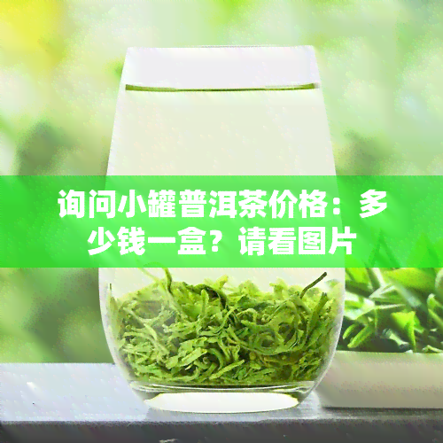 询问小罐普洱茶价格：多少钱一盒？请看图片