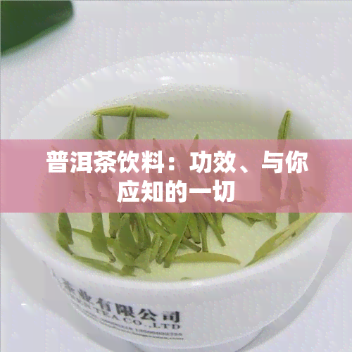 普洱茶饮料：功效、与你应知的一切