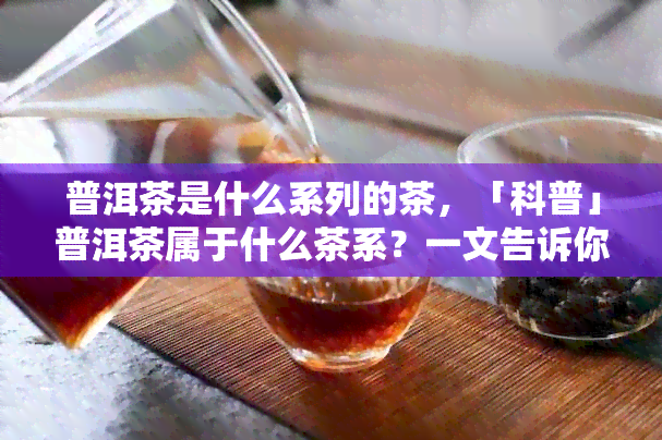 普洱茶是什么系列的茶，「科普」普洱茶属于什么茶系？一文告诉你答案！