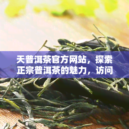 天普洱茶官方网站，探索正宗普洱茶的魅力，访问天普洱茶官方网站！