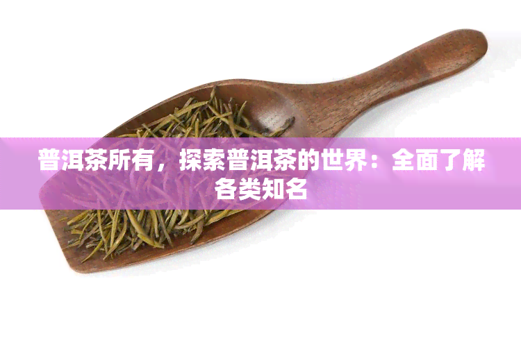 普洱茶所有，探索普洱茶的世界：全面了解各类知名