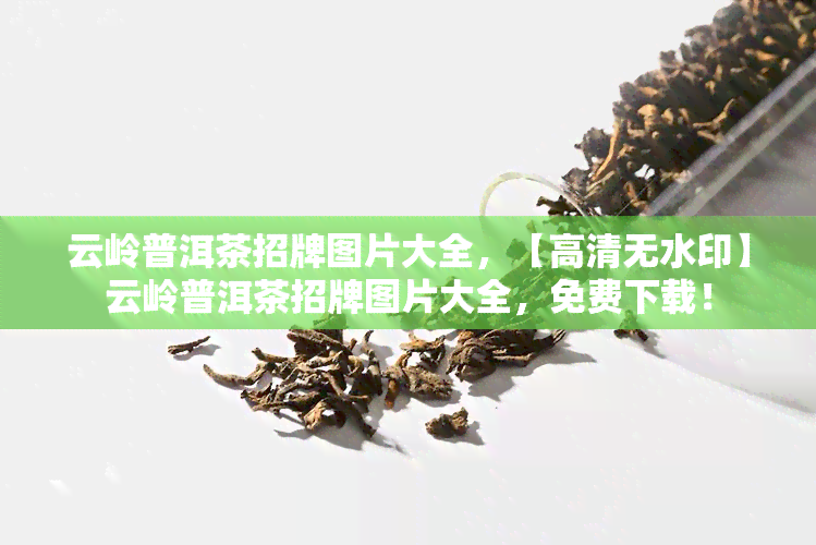 云岭普洱茶招牌图片大全，【高清无水印】云岭普洱茶招牌图片大全，免费下载！