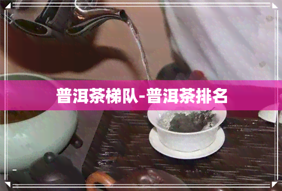 普洱茶梯队-普洱茶排名