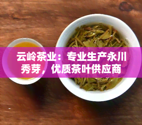 云岭茶业：专业生产永川秀芽，优质茶叶供应商