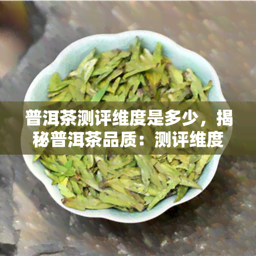 普洱茶测评维度是多少，揭秘普洱茶品质：测评维度全方位解析