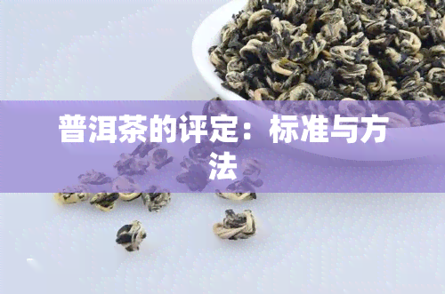 普洱茶的评定：标准与方法