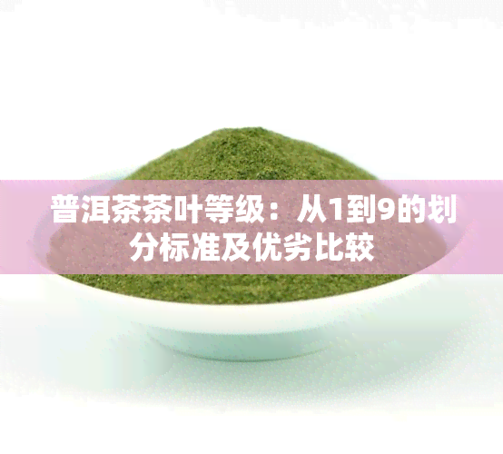 普洱茶茶叶等级：从1到9的划分标准及优劣比较