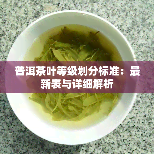 普洱茶叶等级划分标准：最新表与详细解析