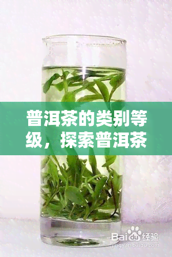 普洱茶的类别等级，探索普洱茶的魅力：了解其类别等级和品质特点