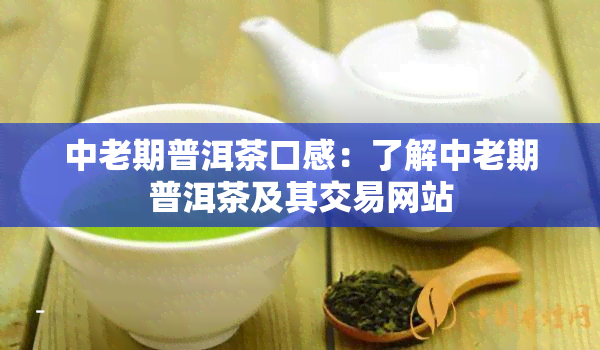 中老期普洱茶口感：了解中老期普洱茶及其交易网站