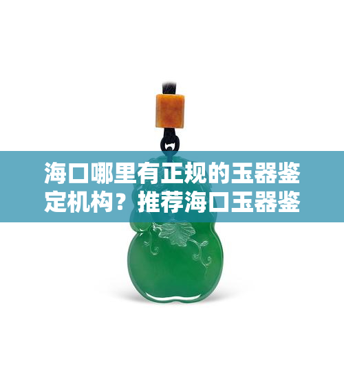 海口哪里有正规的玉器鉴定机构？推荐海口玉器鉴定