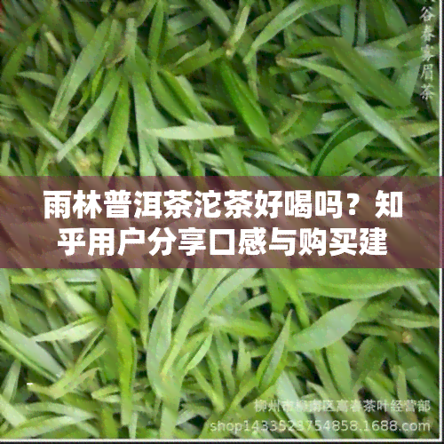 雨林普洱茶沱茶好喝吗？知乎用户分享口感与购买建议