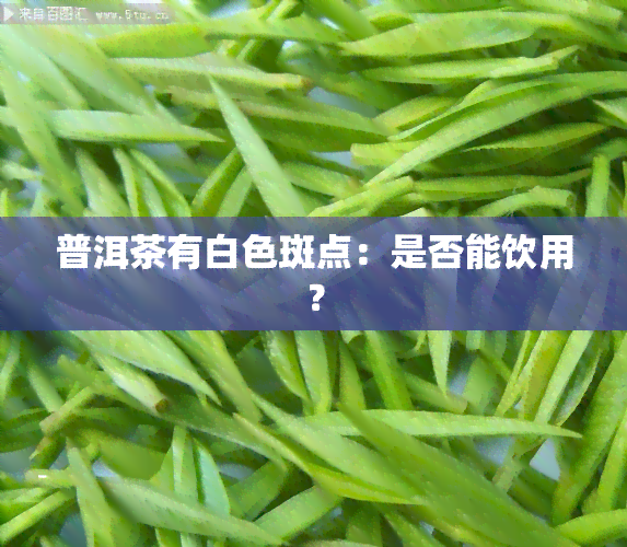 普洱茶有白色斑点：是否能饮用？