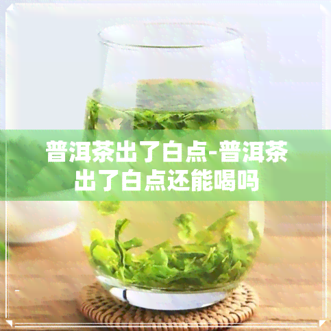 普洱茶出了白点-普洱茶出了白点还能喝吗