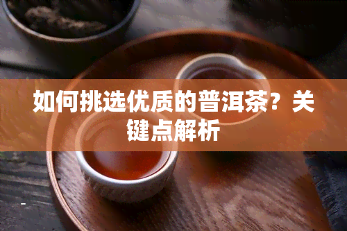 如何挑选优质的普洱茶？关键点解析