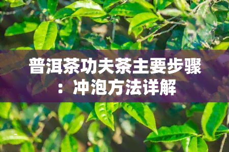 普洱茶功夫茶主要步骤：冲泡方法详解