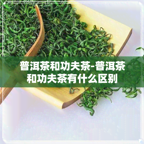 普洱茶和功夫茶-普洱茶和功夫茶有什么区别