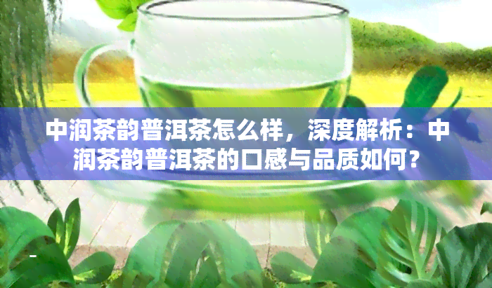 中润茶韵普洱茶怎么样，深度解析：中润茶韵普洱茶的口感与品质如何？