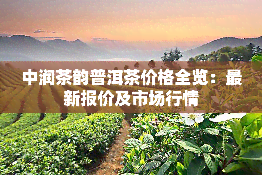 中润茶韵普洱茶价格全览：最新报价及市场行情