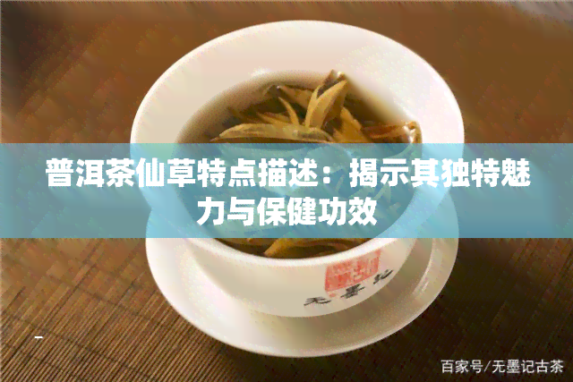 普洱茶仙草特点描述：揭示其独特魅力与保健功效