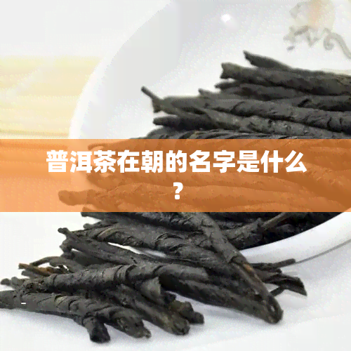 普洱茶在朝的名字是什么？