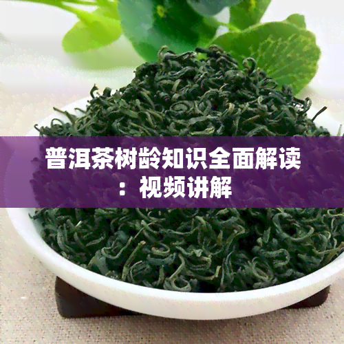 普洱茶树龄知识全面解读：视频讲解