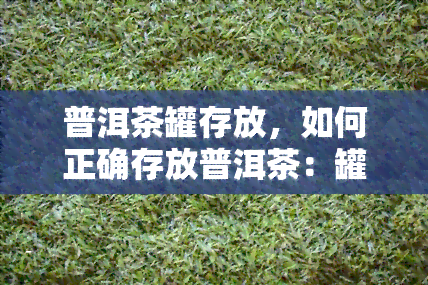 普洱茶罐存放，如何正确存放普洱茶：罐存放的技巧与方法