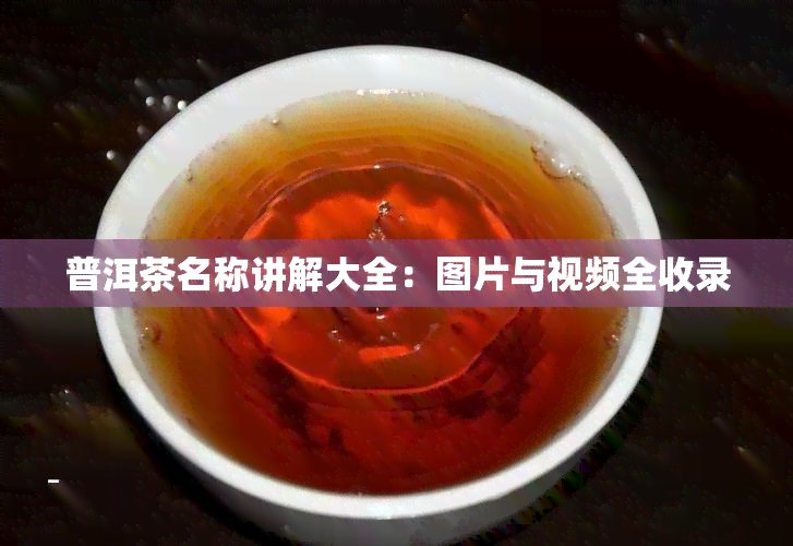 普洱茶名称讲解大全：图片与视频全收录