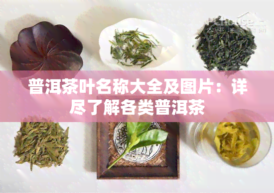 普洱茶叶名称大全及图片：详尽了解各类普洱茶