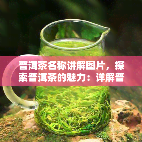 普洱茶名称讲解图片，探索普洱茶的魅力：详解普洱茶的名称和图片解析