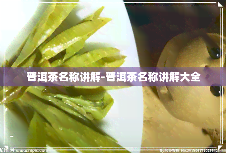 普洱茶名称讲解-普洱茶名称讲解大全