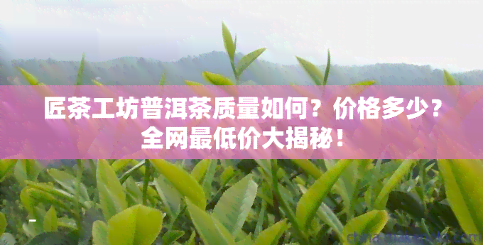 匠茶工坊普洱茶质量如何？价格多少？全网更低价大揭秘！