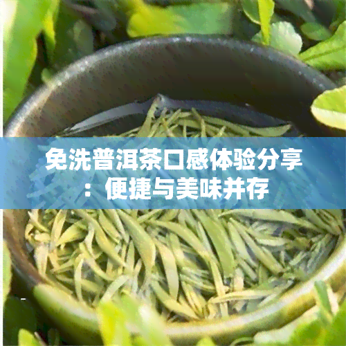 免洗普洱茶口感体验分享：便捷与美味并存