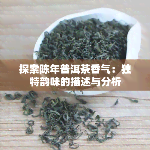 探索陈年普洱茶香气：独特韵味的描述与分析