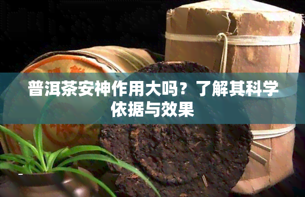 普洱茶安神作用大吗？了解其科学依据与效果