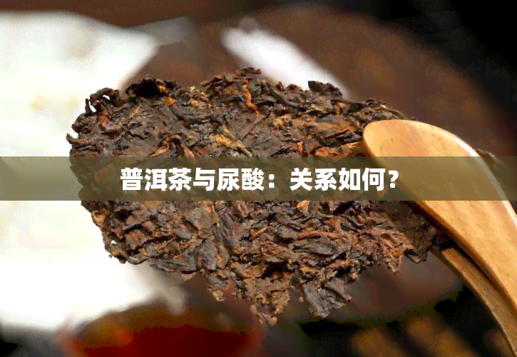 普洱茶与尿酸：关系如何？