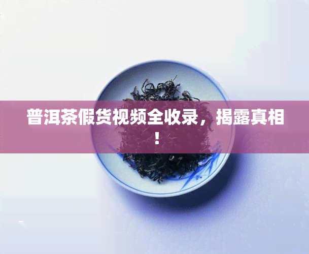 普洱茶假货视频全收录，揭露真相！