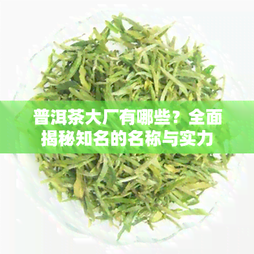 普洱茶大厂有哪些？全面揭秘知名的名称与实力