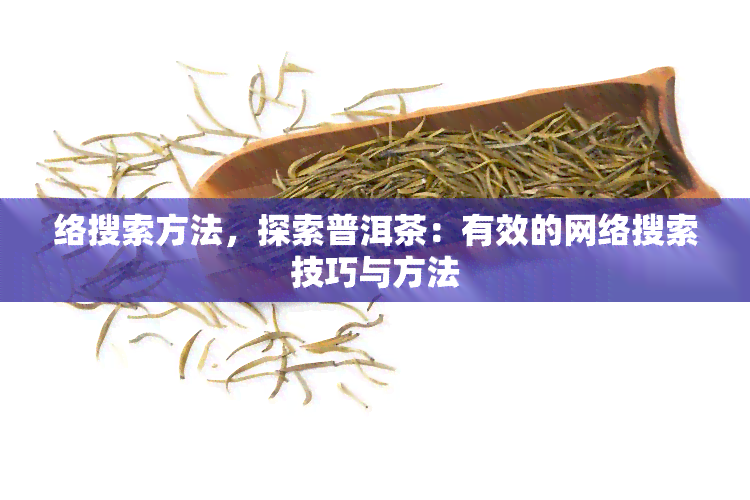 络搜索方法，探索普洱茶：有效的网络搜索技巧与方法