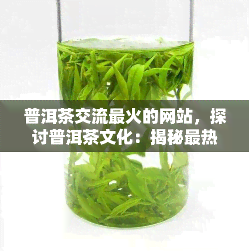 普洱茶交流最火的网站，探讨普洱茶文化：揭秘最热门的交流平台