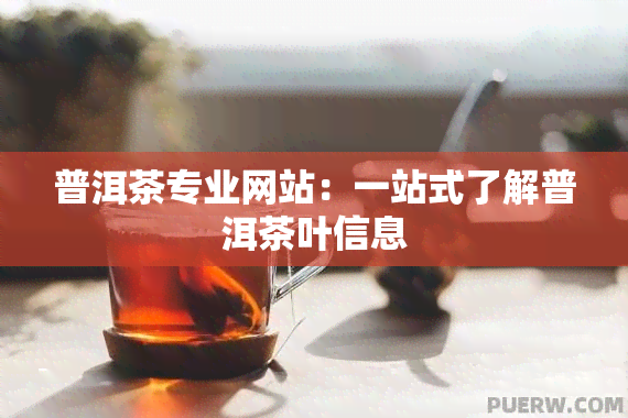 普洱茶专业网站：一站式了解普洱茶叶信息