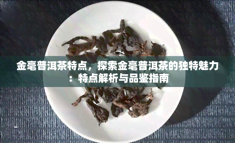 金毫普洱茶特点，探索金毫普洱茶的独特魅力：特点解析与品鉴指南