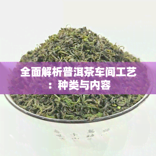 全面解析普洱茶车间工艺：种类与内容