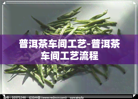 普洱茶车间工艺-普洱茶车间工艺流程