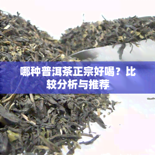 哪种普洱茶正宗好喝？比较分析与推荐