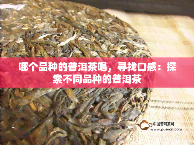 哪个品种的普洱茶喝，寻找口感：探索不同品种的普洱茶