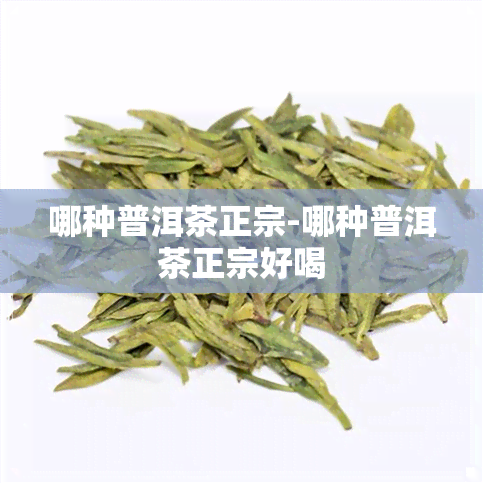 哪种普洱茶正宗-哪种普洱茶正宗好喝