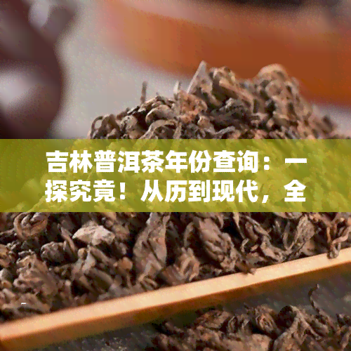 吉林普洱茶年份查询：一探究竟！从历到现代，全面解析普洱茶的年份价值