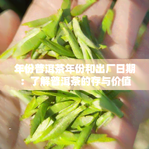 年份普洱茶年份和出厂日期：了解普洱茶的存与价值