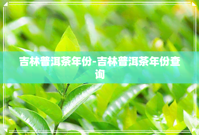 吉林普洱茶年份-吉林普洱茶年份查询